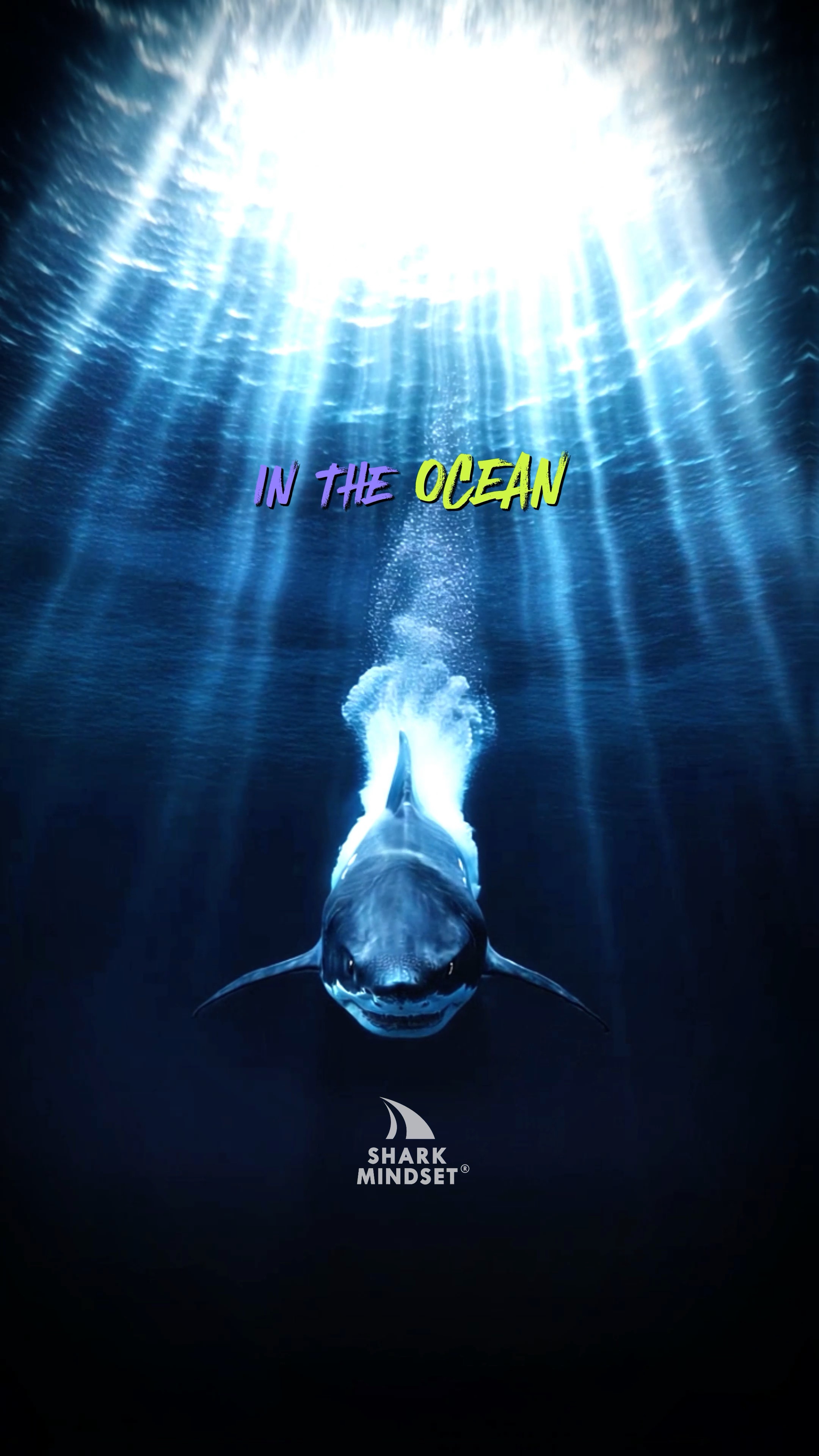 Shark Mindset Ad Reel